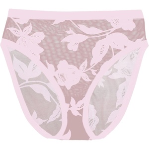 image:imageHigh Cut Opal Mesh Panties for Women by EBYMadam Chic